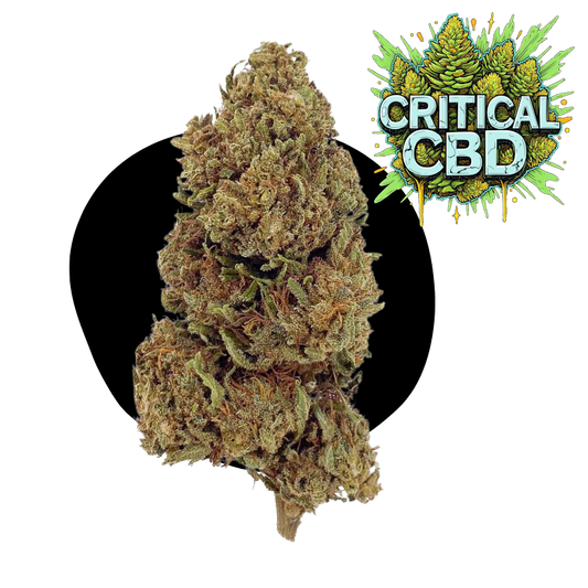 Kritiskā CBD