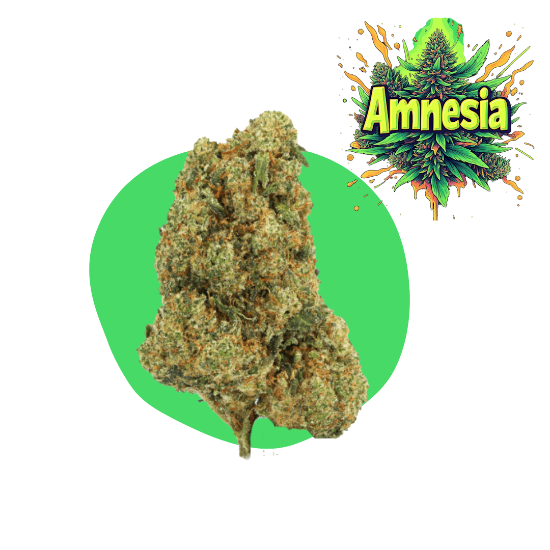 Amnēzija CBD