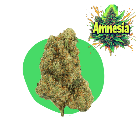 Amnēzija CBD