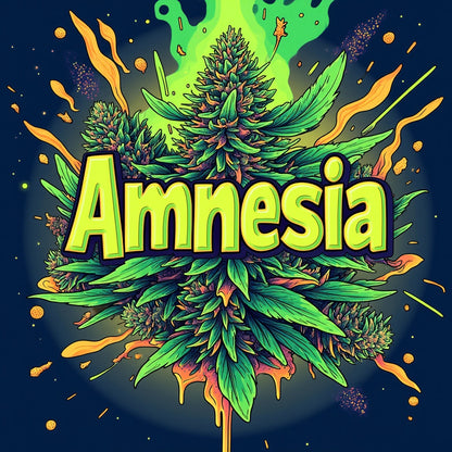 Amnēzija CBD